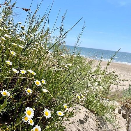 L'Escapade Bohème - piscine, plages&farniente La Grande-Motte Esterno foto