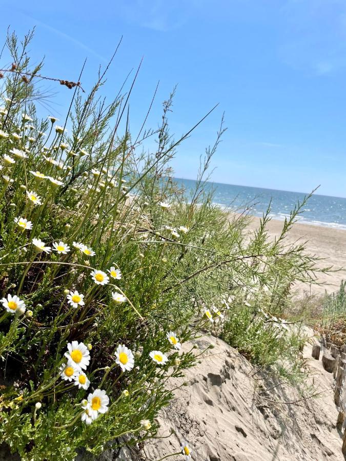 L'Escapade Bohème - piscine, plages&farniente La Grande-Motte Esterno foto
